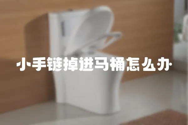 小手鏈掉進馬桶怎么辦