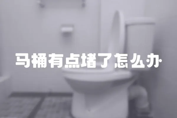 馬桶有點(diǎn)堵了怎么辦