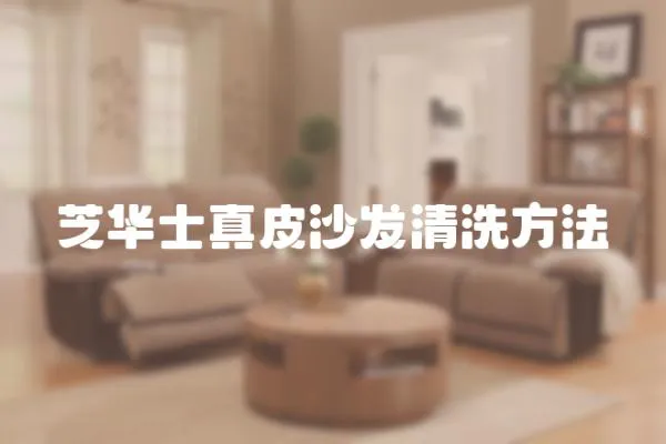 芝華士真皮沙發清洗方法