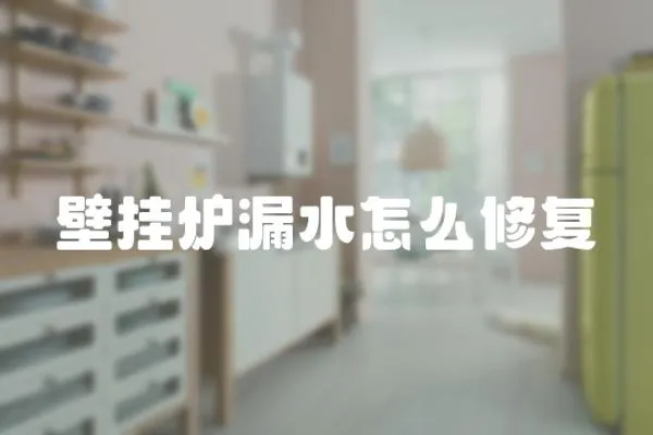 壁掛爐漏水怎么修復