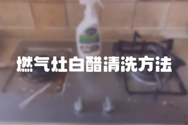 燃?xì)庠畎状浊逑捶椒?></a></div>
                    <div   id=