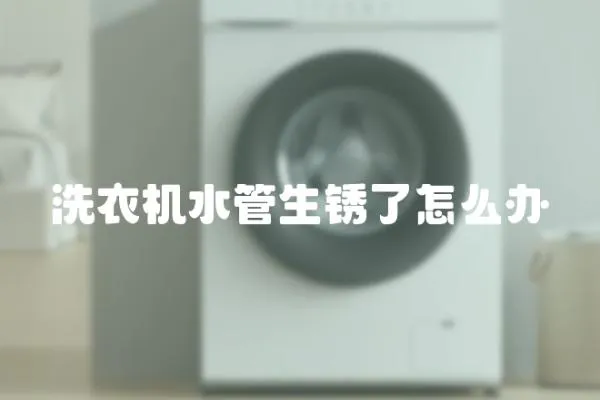 洗衣機水管生銹了怎么辦