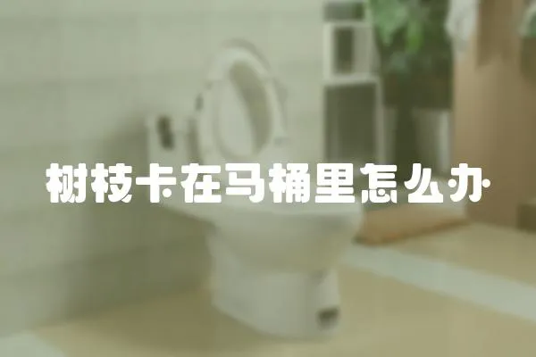 樹枝卡在馬桶里怎么辦