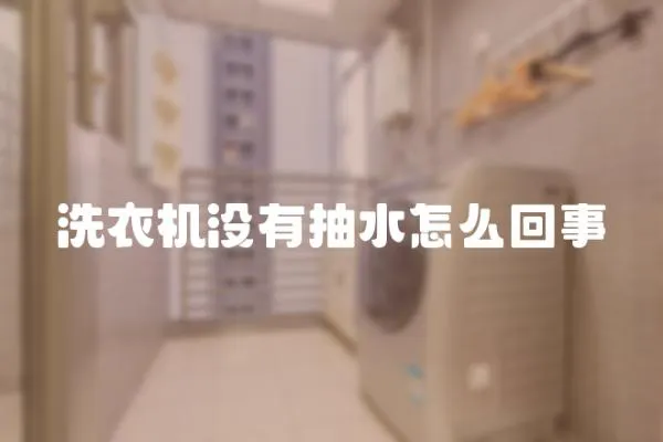 洗衣機沒有抽水怎么回事