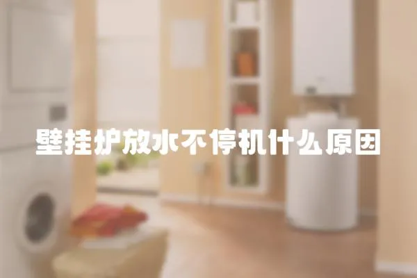 壁掛爐放水不停機什么原因