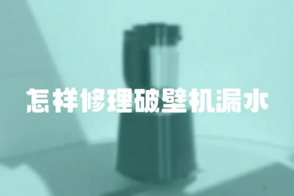 怎樣修理破壁機(jī)漏水
