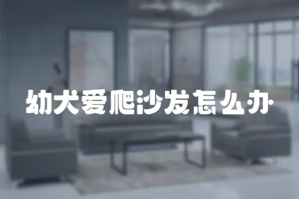 幼犬愛爬沙發怎么辦