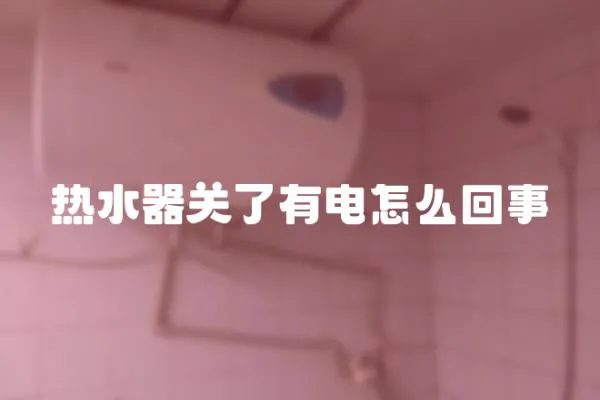熱水器關(guān)了有電怎么回事