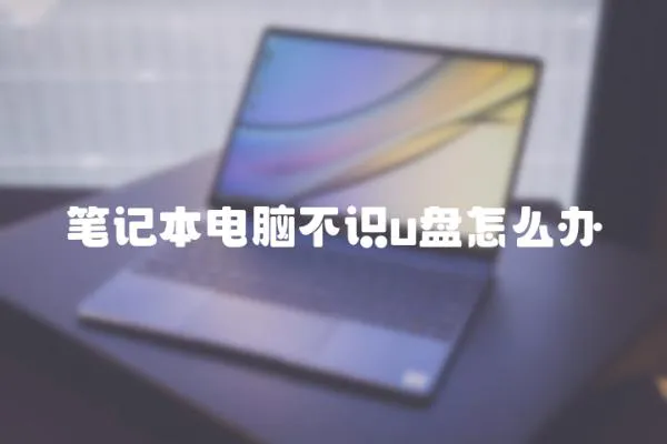 筆記本電腦不識u盤怎么辦