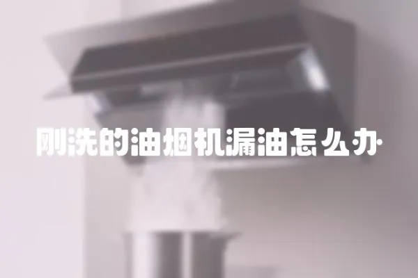 剛洗的油煙機漏油怎么辦
