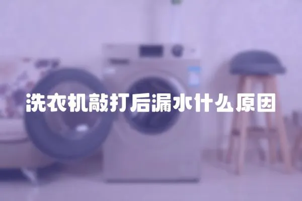洗衣機(jī)敲打后漏水什么原因