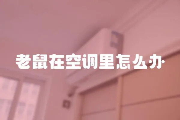 老鼠在空調(diào)里怎么辦
