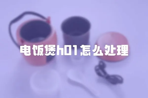 電飯煲h01怎么處理