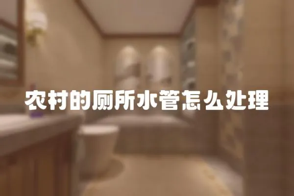 農村的廁所水管怎么處理