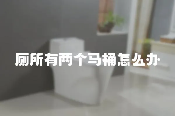 廁所有兩個馬桶怎么辦
