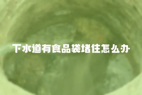 下水道有食品袋堵住怎么辦