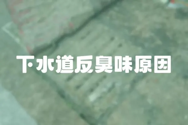 下水道反臭味原因