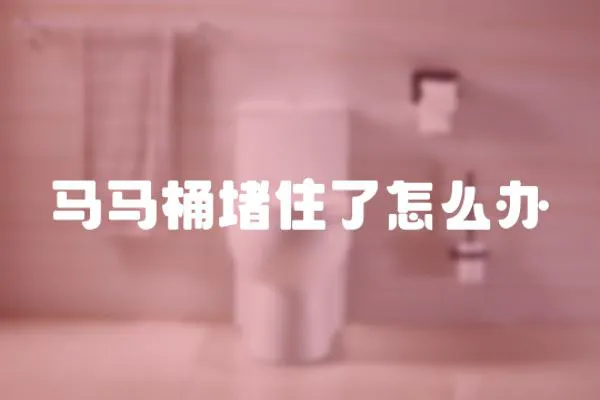 馬馬桶堵住了怎么辦