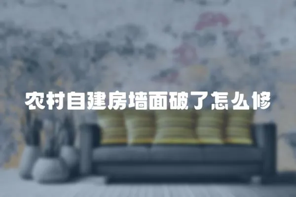 農村自建房墻面破了怎么修