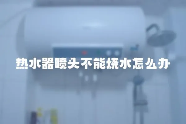 熱水器噴頭不能燒水怎么辦