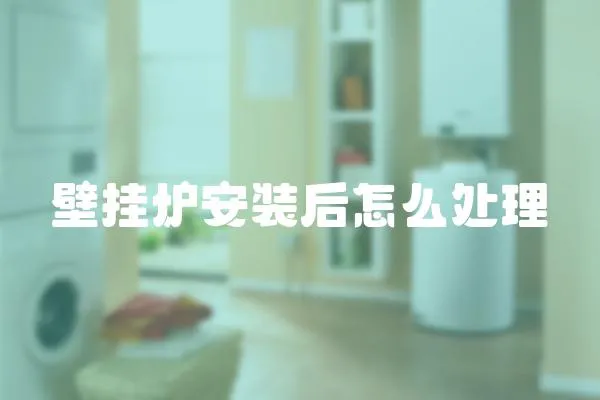 壁掛爐安裝后怎么處理