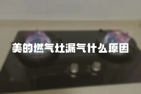 美的燃氣灶漏氣什么原因