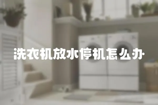 洗衣機放水停機怎么辦