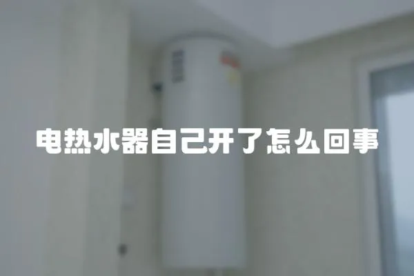 電熱水器自己開了怎么回事