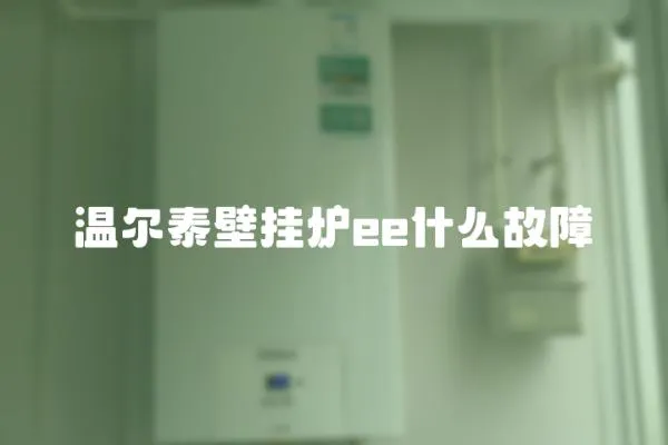 溫爾泰壁掛爐ee什么故障