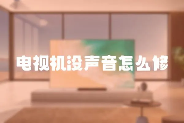 電視機沒聲音怎么修