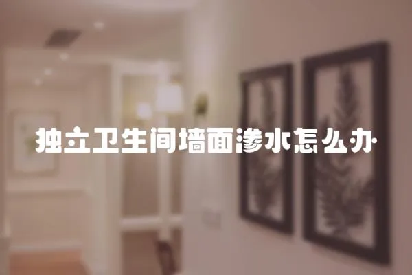 獨立衛生間墻面滲水怎么辦