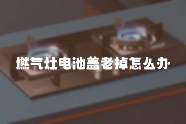 燃?xì)庠铍姵厣w老掉怎么辦