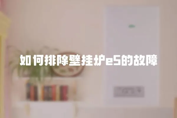 如何排除壁掛爐e5的故障