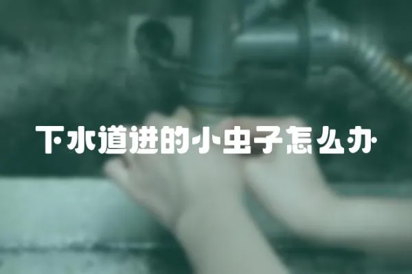 下水道進的小蟲子怎么辦