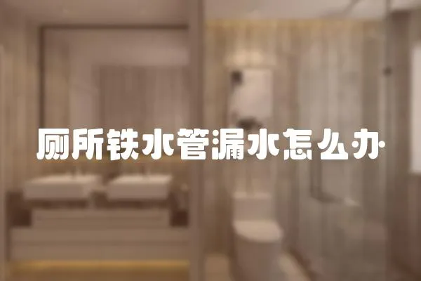 廁所鐵水管漏水怎么辦