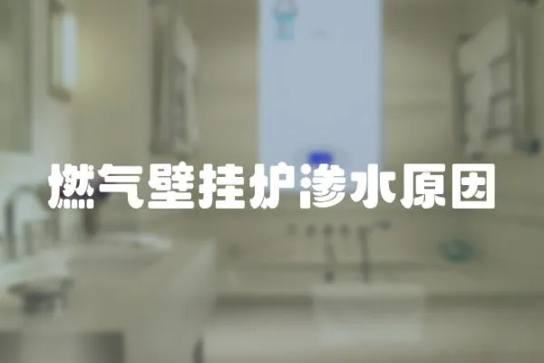 燃氣壁掛爐滲水原因