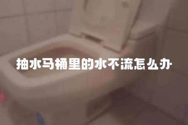 抽水馬桶里的水不流怎么辦