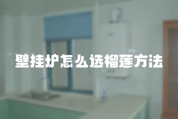 壁掛爐怎么選榴蓮方法
