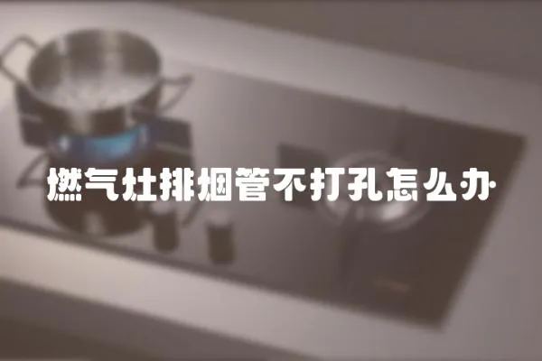 燃?xì)庠钆艧煿懿淮蚩自趺崔k