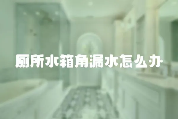 廁所水箱角漏水怎么辦