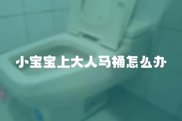 小寶寶上大人馬桶怎么辦