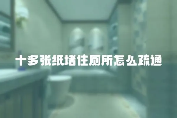 十多張紙堵住廁所怎么疏通