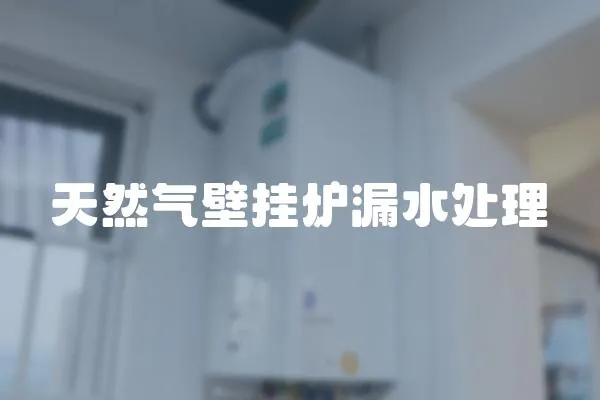天然氣壁掛爐漏水處理