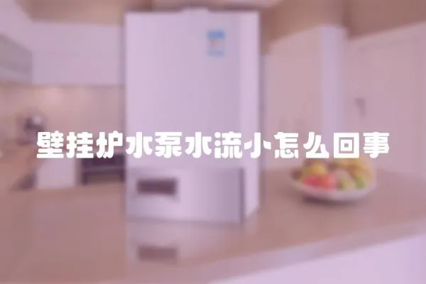 壁掛爐水泵水流小怎么回事