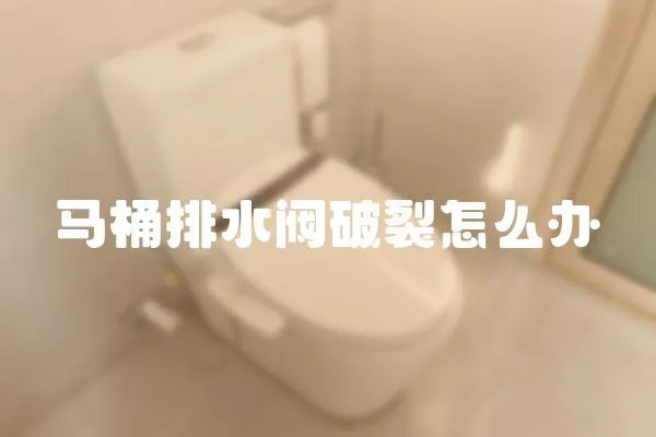 馬桶排水閥破裂怎么辦