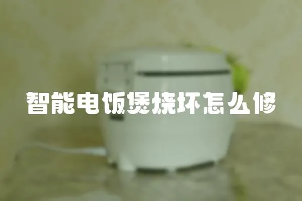 智能電飯煲燒壞怎么修