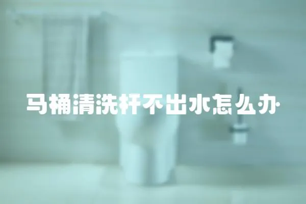 馬桶清洗桿不出水怎么辦