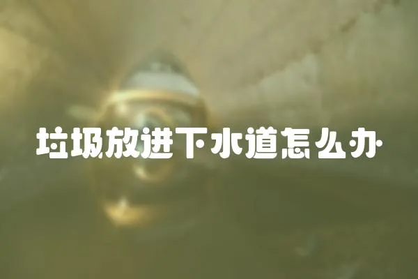 垃圾放進下水道怎么辦