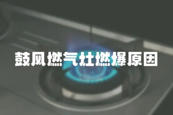 鼓風(fēng)燃?xì)庠钊急?></a></div>
                    </div>
                    <div   id=