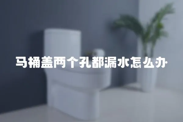 馬桶蓋兩個(gè)孔都漏水怎么辦
